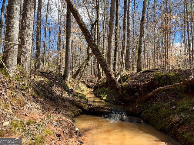 TRACT B2 Hulmes Chapel Road, Elberton, GA 30635
