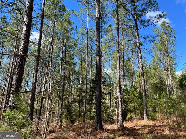 TRACT B2 Hulmes Chapel Road, Elberton, GA 30635