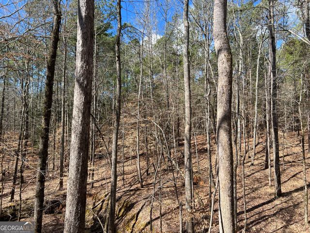 TRACT B2 Hulmes Chapel Road, Elberton, GA 30635