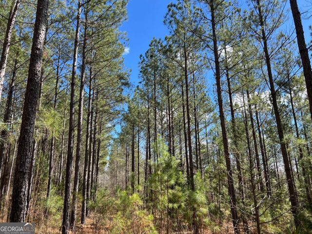 TRACT B2 Hulmes Chapel Road, Elberton, GA 30635