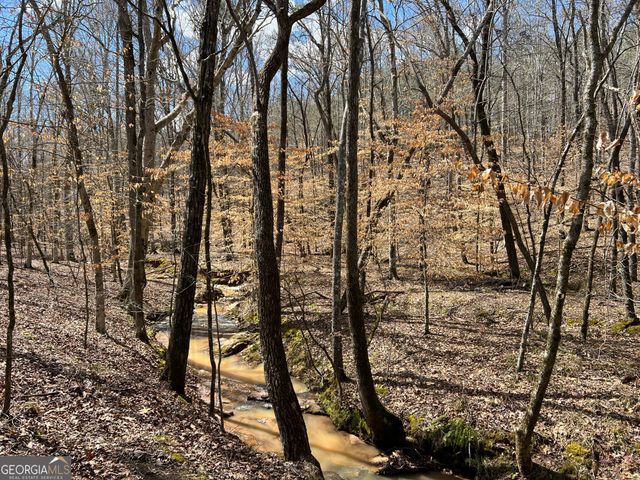 TRACT B2 Hulmes Chapel Road, Elberton, GA 30635