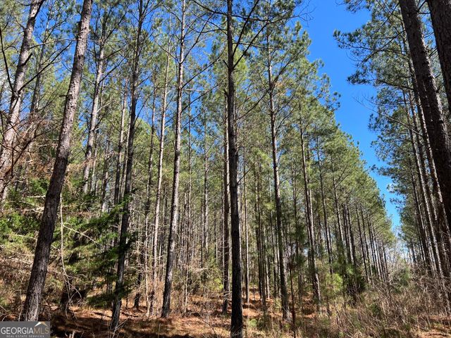 TRACT B2 Hulmes Chapel Road, Elberton, GA 30635