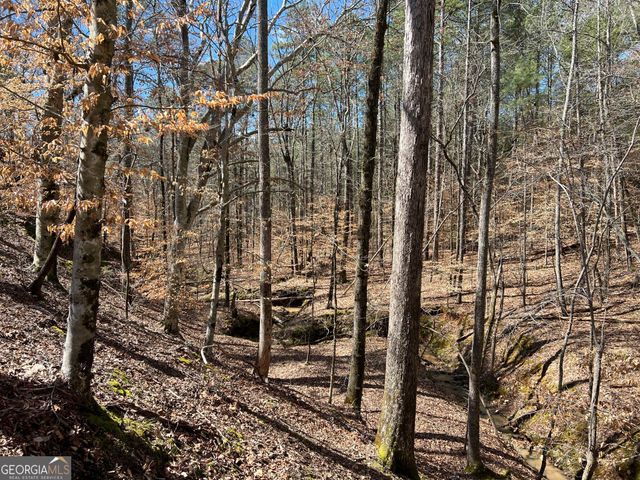 TRACT B2 Hulmes Chapel Road, Elberton, GA 30635