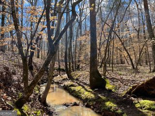 TRACT B2 Hulmes Chapel Road, Elberton, GA 30635