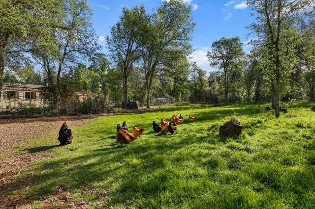 18080 Brincat Manor Road, Cottonwood, CA 96022