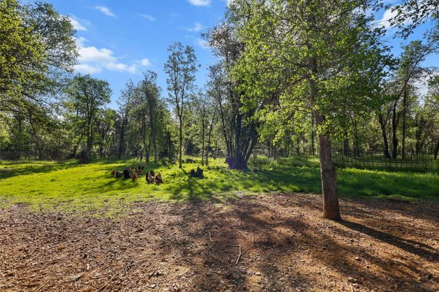 18080 Brincat Manor Road, Cottonwood, CA 96022