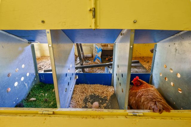 18080 Brincat Manor Road, Cottonwood, CA 96022