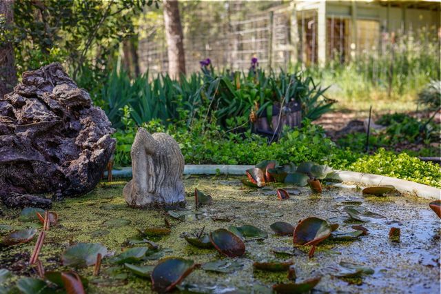 18080 Brincat Manor Road, Cottonwood, CA 96022