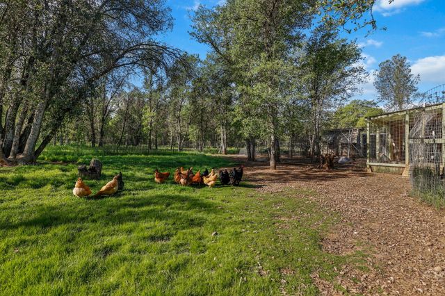 18080 Brincat Manor Road, Cottonwood, CA 96022