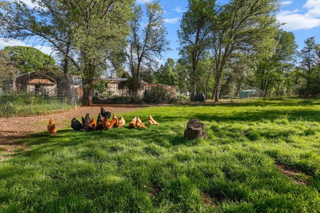 18080 Brincat Manor Road, Cottonwood, CA 96022