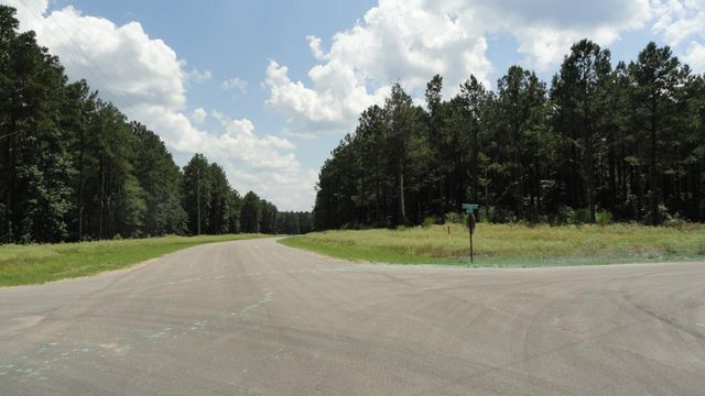 00 Leopold Street, Huntsville, TX 77340