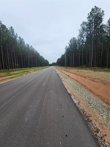 00 Leopold Street, Huntsville, TX 77340