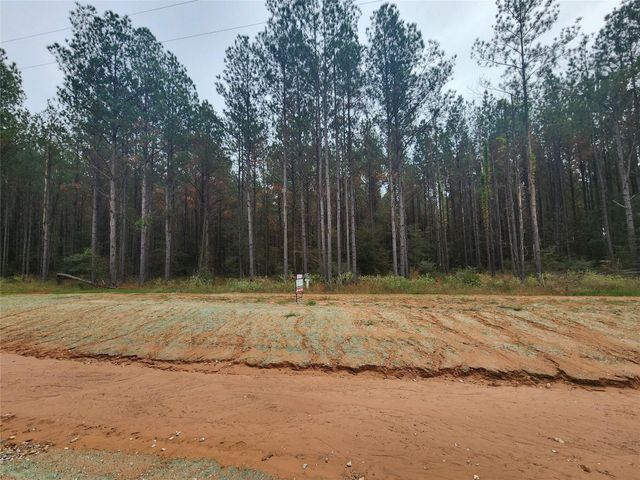 00 Leopold Street, Huntsville, TX 77340