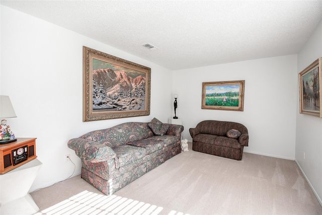 24640 Macedonia Road, Hockley, TX 77447