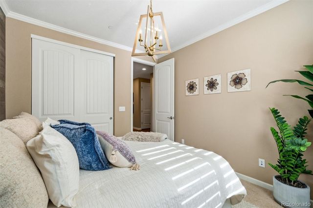 5074 Covelo Drive, Castle Rock, CO 80108