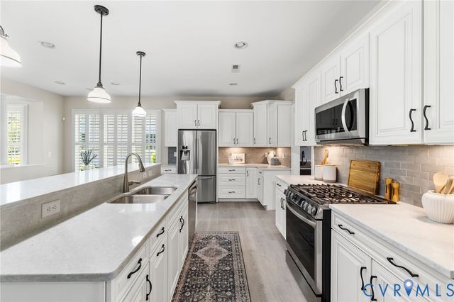 15243 Heron Pointe Way, Moseley, VA 23120