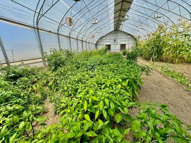 926 Holmes Flat Road, Redcrest, CA 95569