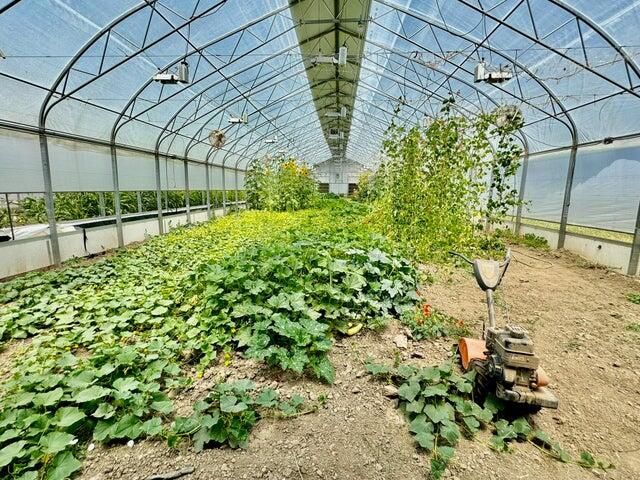 926 Holmes Flat Road, Redcrest, CA 95569