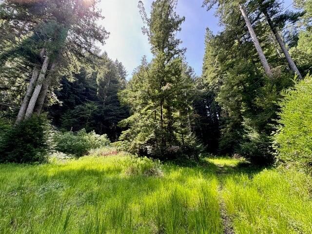 926 Holmes Flat Road, Redcrest, CA 95569