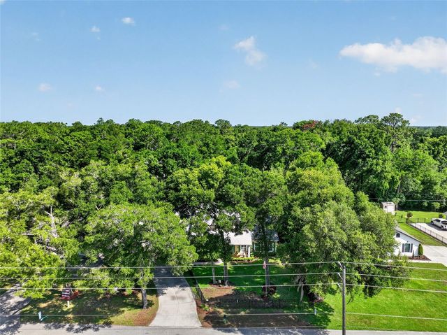 26243 TROON AVENUE, Mount Plymouth, FL 32776