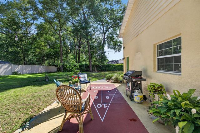 26243 TROON AVENUE, Mount Plymouth, FL 32776