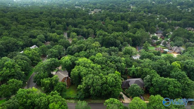 137 Kensington Drive, Madison, AL 35758