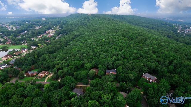137 Kensington Drive, Madison, AL 35758