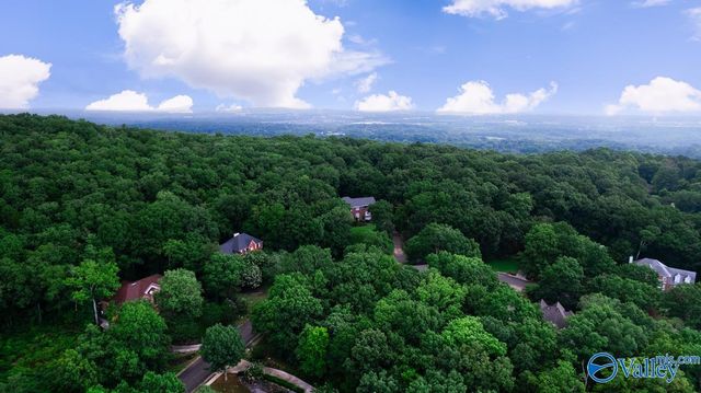 137 Kensington Drive, Madison, AL 35758