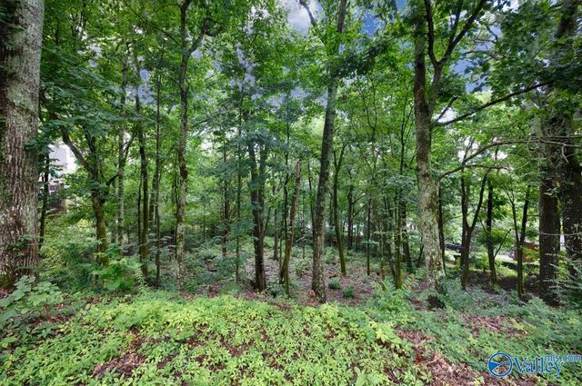 137 Kensington Drive, Madison, AL 35758
