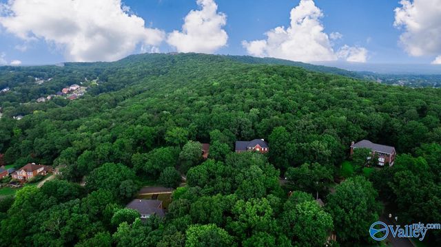 137 Kensington Drive, Madison, AL 35758