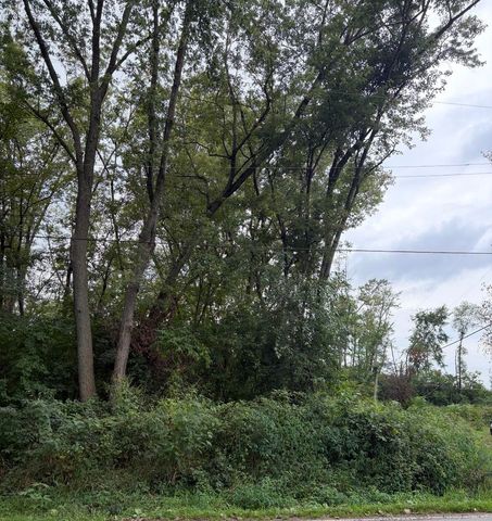 0 Lauerman Road, Cedar Lake, IN 46303