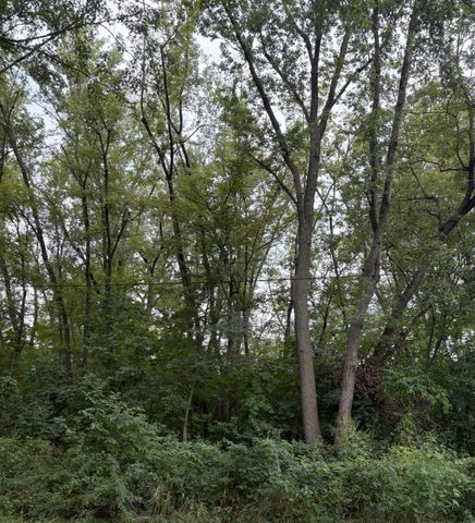 0 Lauerman Road, Cedar Lake, IN 46303