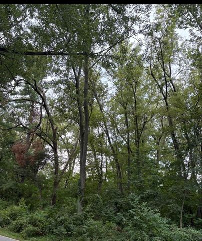 0 Lauerman Road, Cedar Lake, IN 46303
