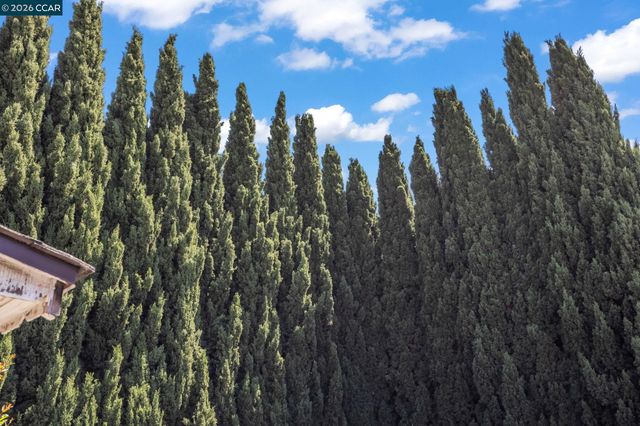 15594 Sharon St, San Lorenzo, CA 94580