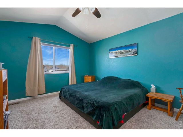 3211 White Buffalo Dr, Wellington, CO 80549