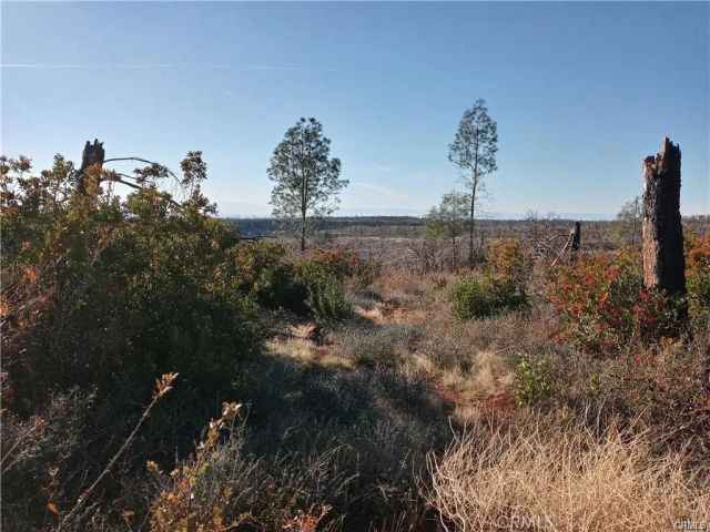 67 Pentz, Paradise, CA 95969