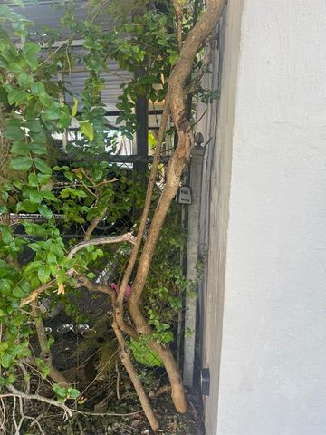 7801 NE 4th Ct 516, Miami, FL 33138