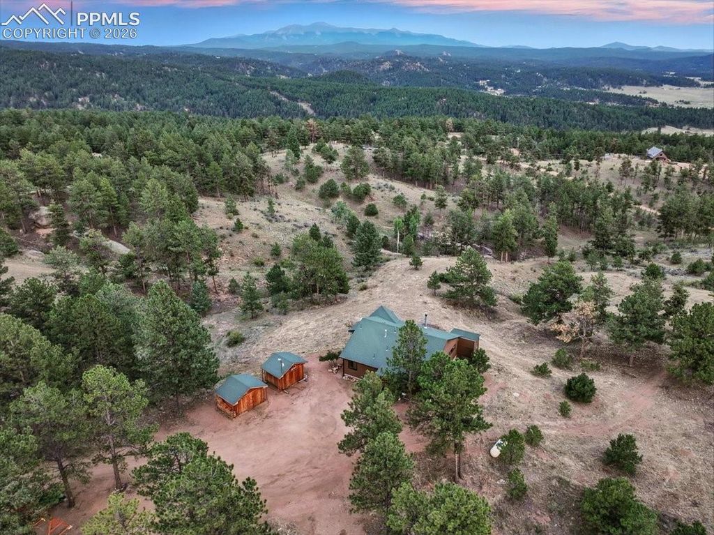 1721 Wildhorn Road, Florissant, CO 80816 — photo 5