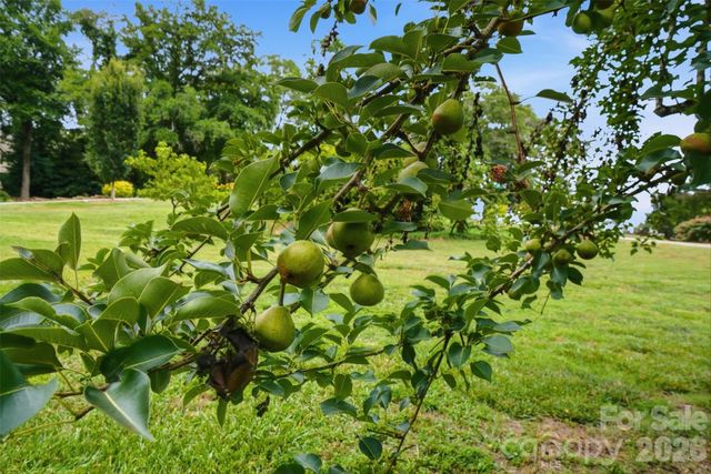 6205 Buhrstone Court, Lancaster, SC 29720