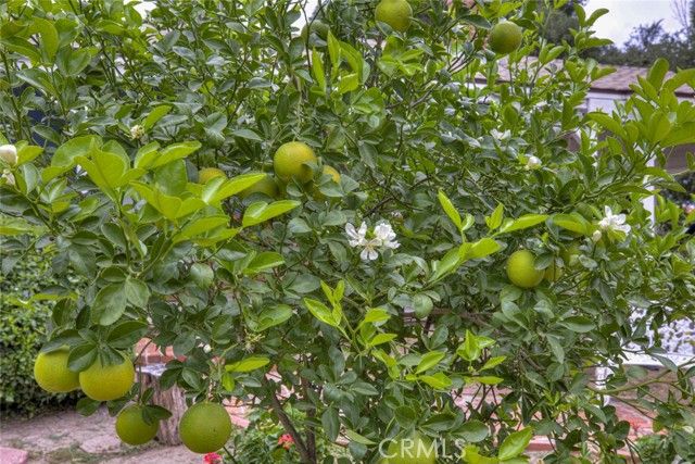 11350 Orcas, Sylmar (los Angeles), CA 91342