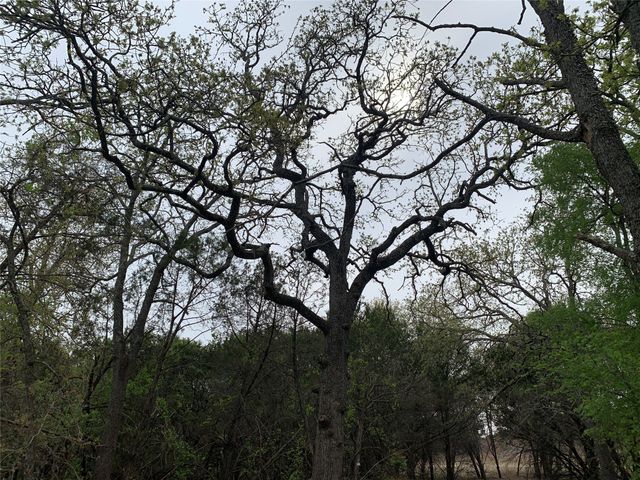 1039 & 1033 Creek Crossing Road, Nemo, TX 76070