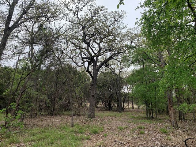 1039 & 1033 Creek Crossing Road, Nemo, TX 76070