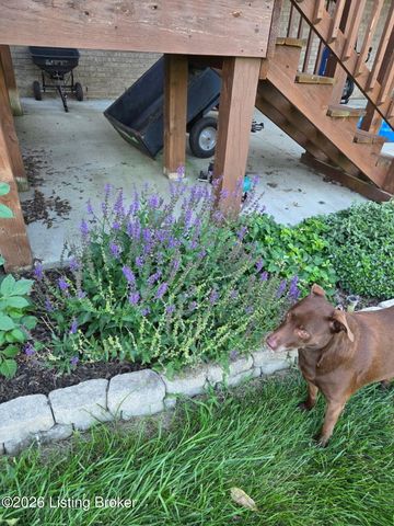 271 Stone Ridge Dr, Fisherville, KY 40023