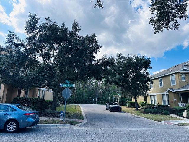 10801 SPIDER LILY DRIVE S, Orlando, FL 32832