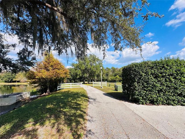 10801 SPIDER LILY DRIVE S, Orlando, FL 32832