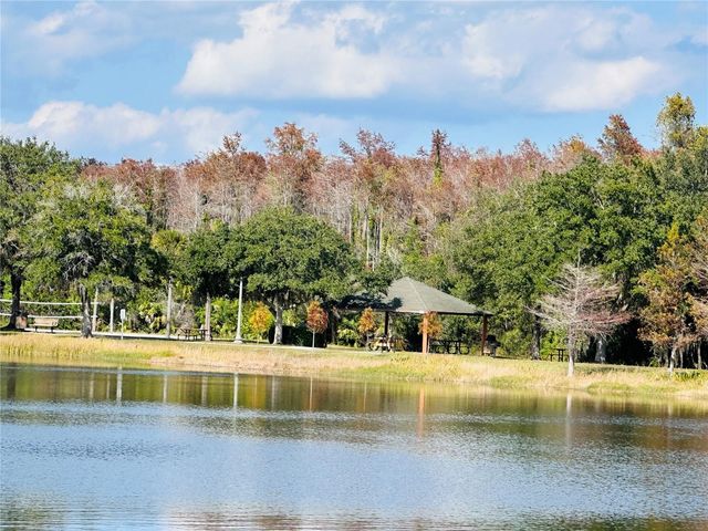 10801 SPIDER LILY DRIVE S, Orlando, FL 32832