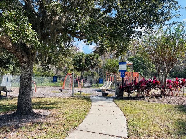 10801 SPIDER LILY DRIVE S, Orlando, FL 32832