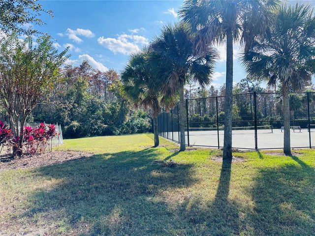 10801 SPIDER LILY DRIVE S, Orlando, FL 32832