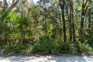 NE 358TH AVE, Old Town, FL 32680