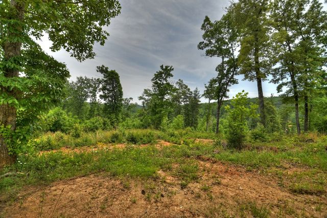 3.20 ac Hidden Acres, Blue Ridge, GA 30513